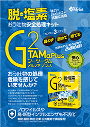 10-28-G2tam-A4-A
